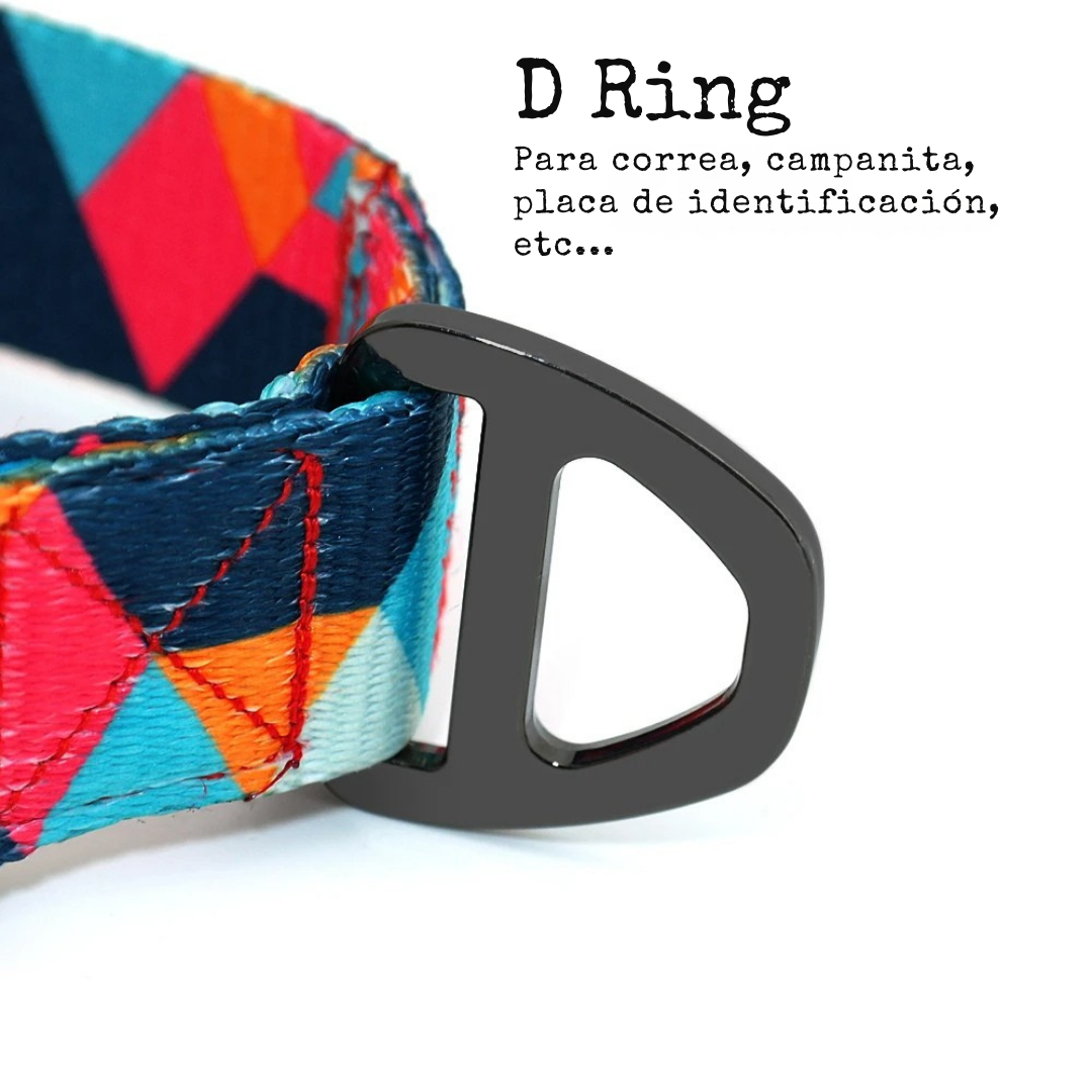 Collar Nylon Perro Personalizado | Set Correa + Collar