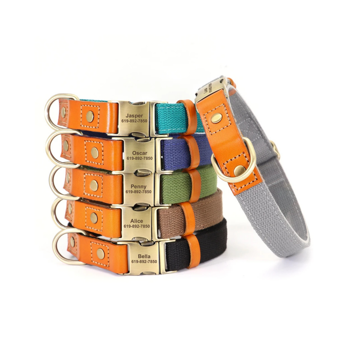 Collar Perro con Nombre y Teléfono | Cuero Autentico y Nylon