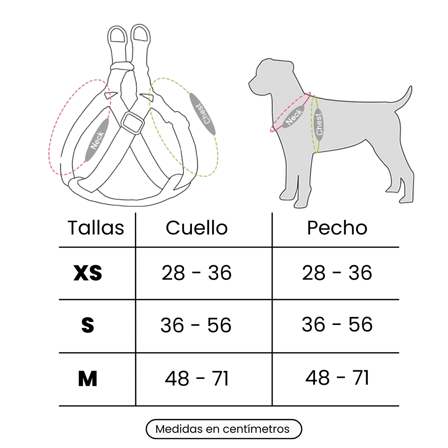 Arnes Perro Personalizado | Grabado Personalizado