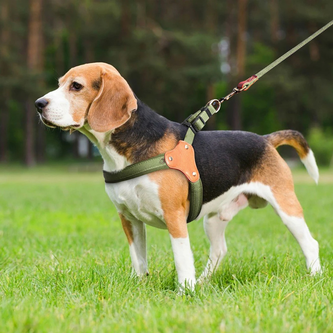 Arnes para Perros | Diseño Reflectante y Ajustable