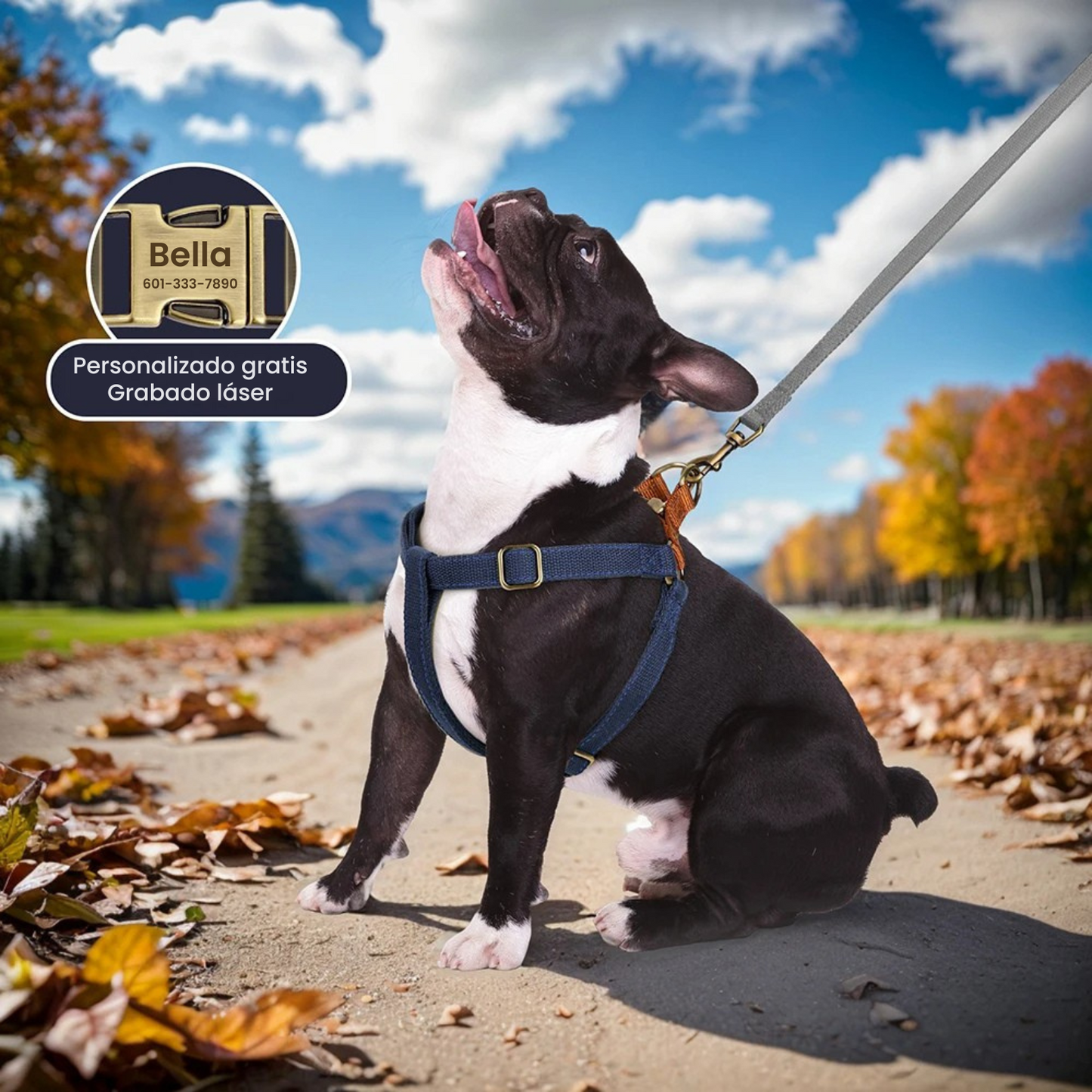 Arnes Perro Personalizado | Grabado Personalizado