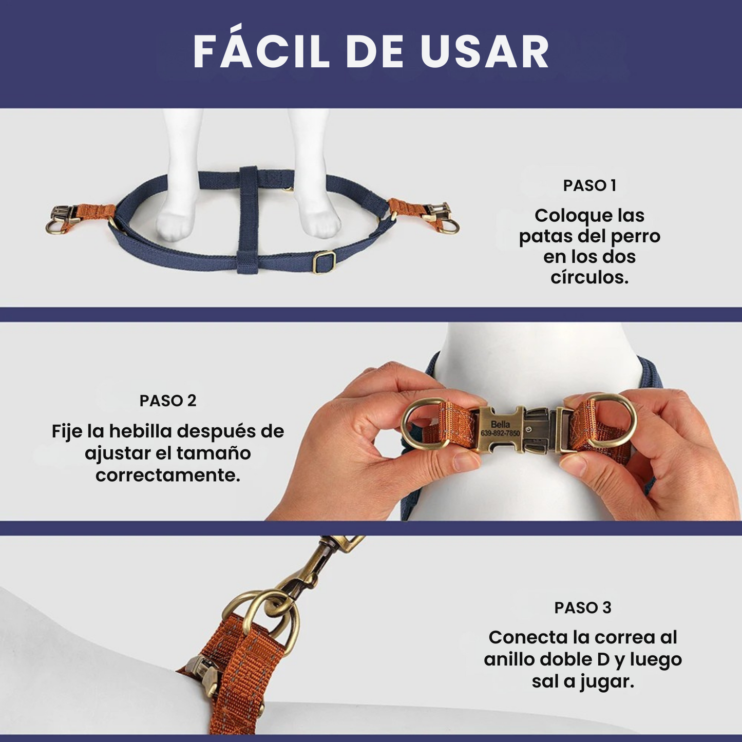Arnes Perro Personalizado | Grabado Personalizado