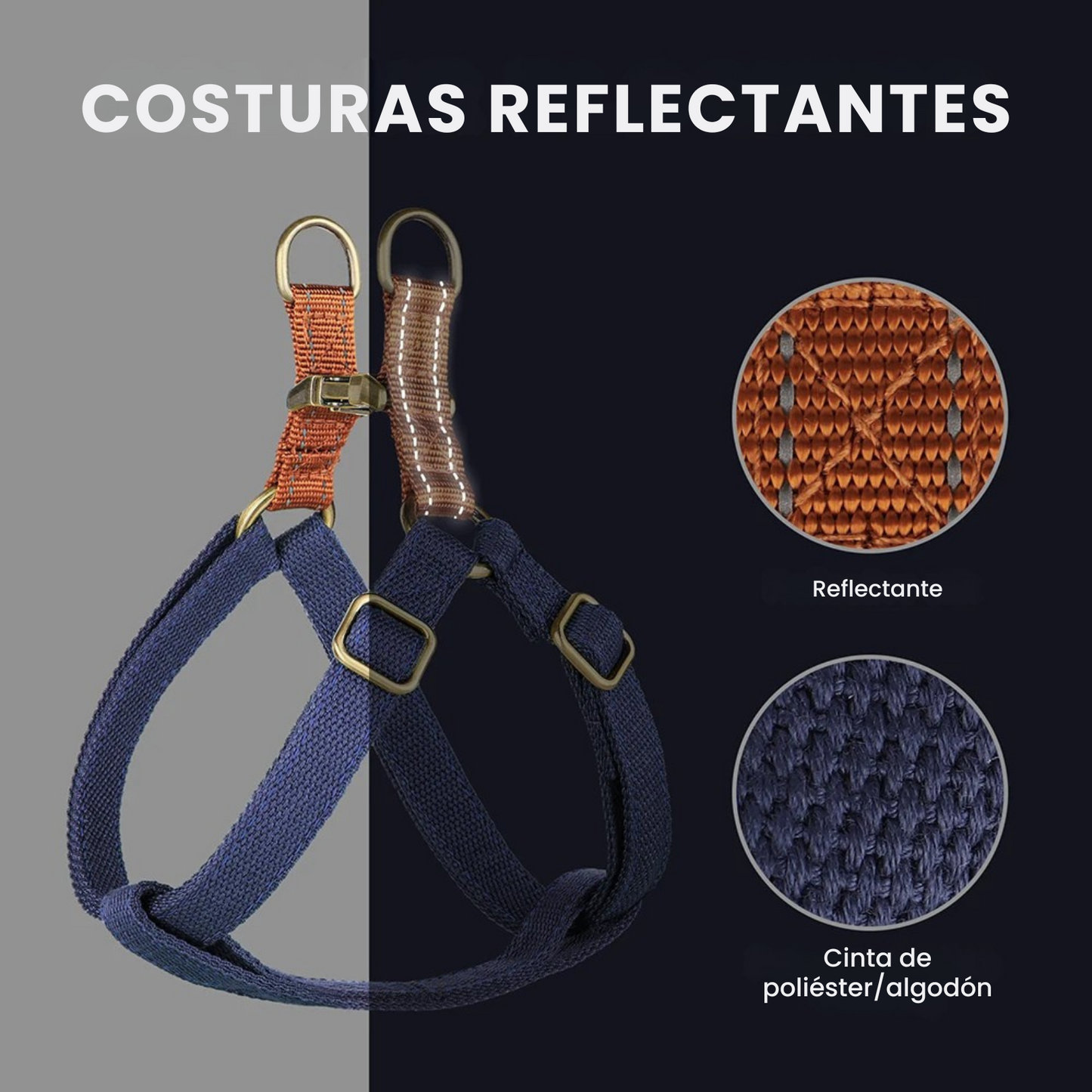 Arnes Perro Personalizado | Grabado Personalizado