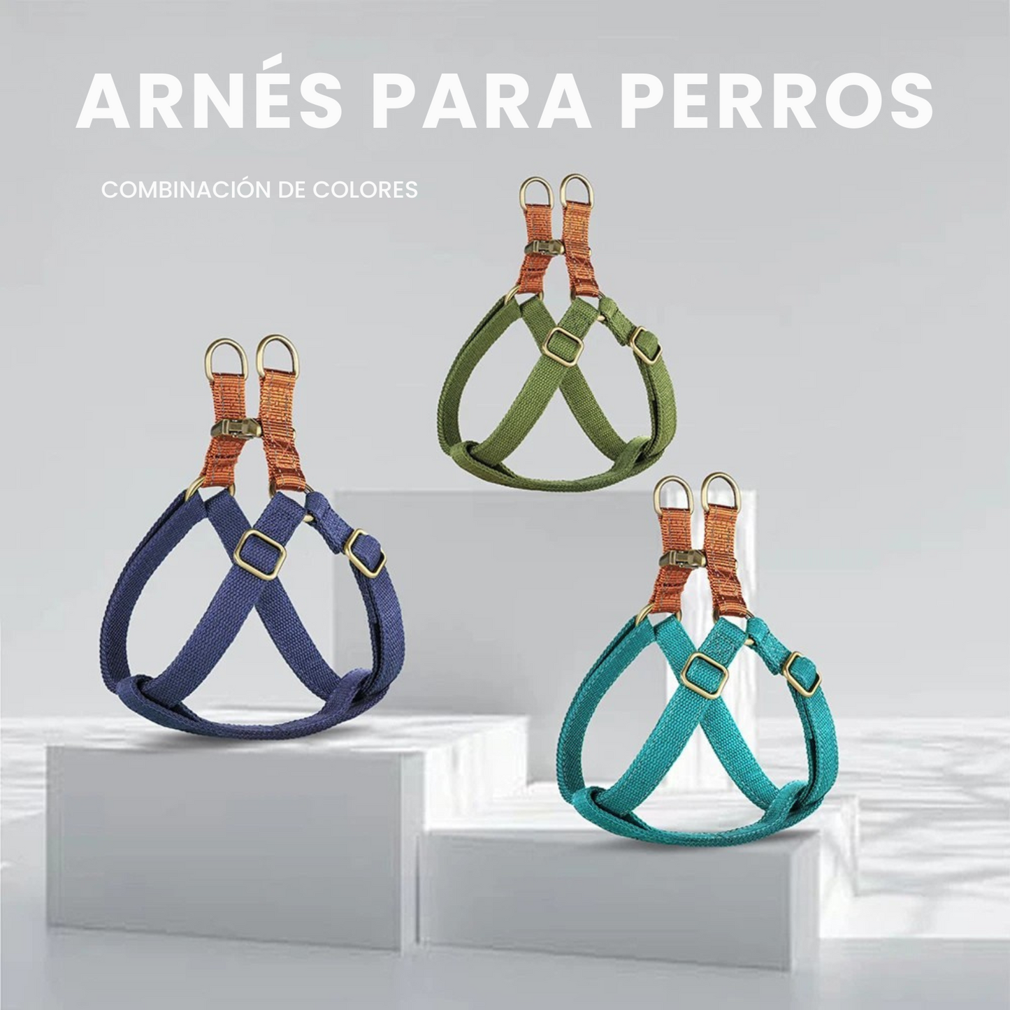 Arnes Perro Personalizado | Grabado Personalizado