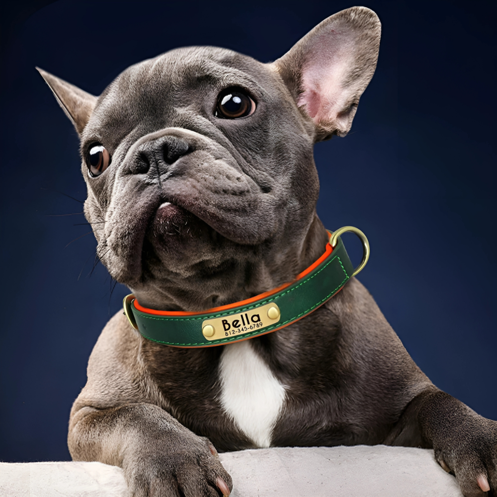 Personalized Dog Collar - PU Leather