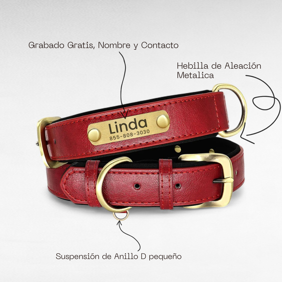 Collar de Perro Personalizado | Collar de Cuero para Perro 