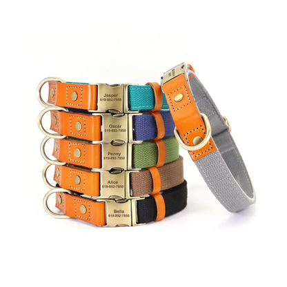 Collar Perro con Nombre y Teléfono | Cuero Autentico y Nylon 
