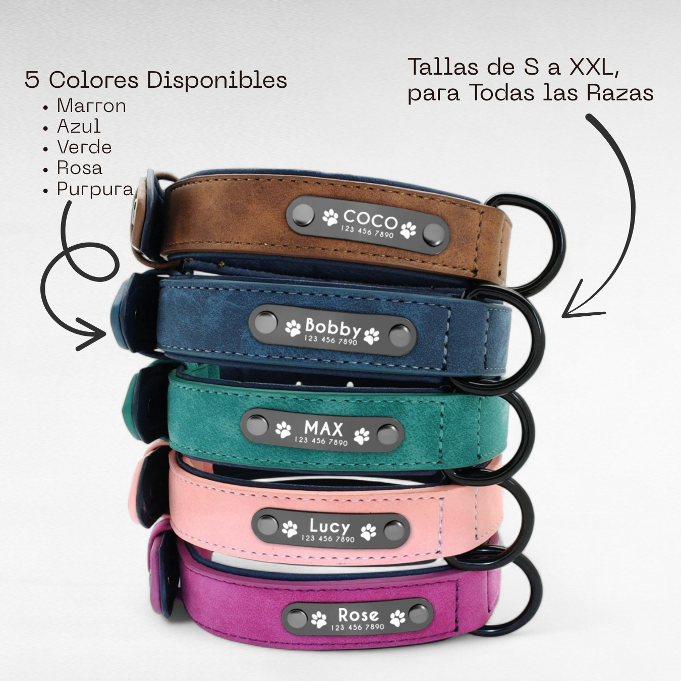 Collar para Perros Personalizados | Set Correa + Collar 