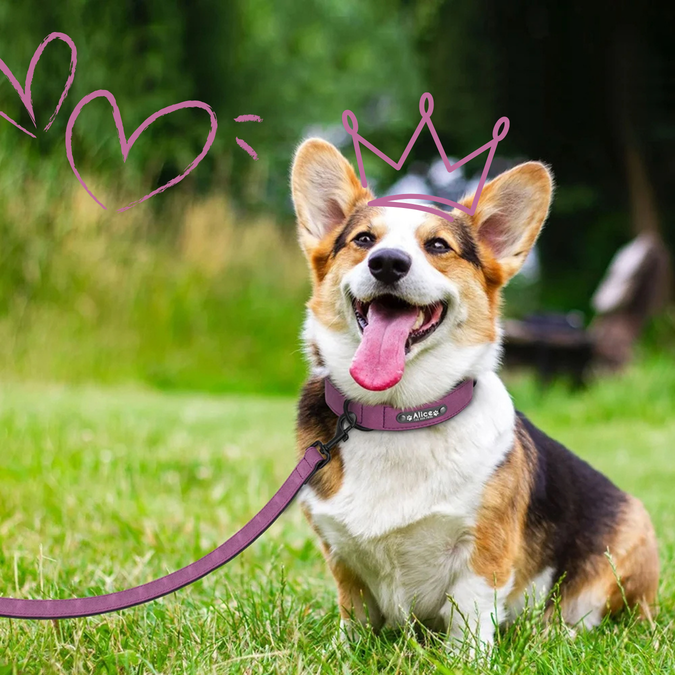 Collar para Perros Personalizados | Collar de Cuero Suave para Perros 