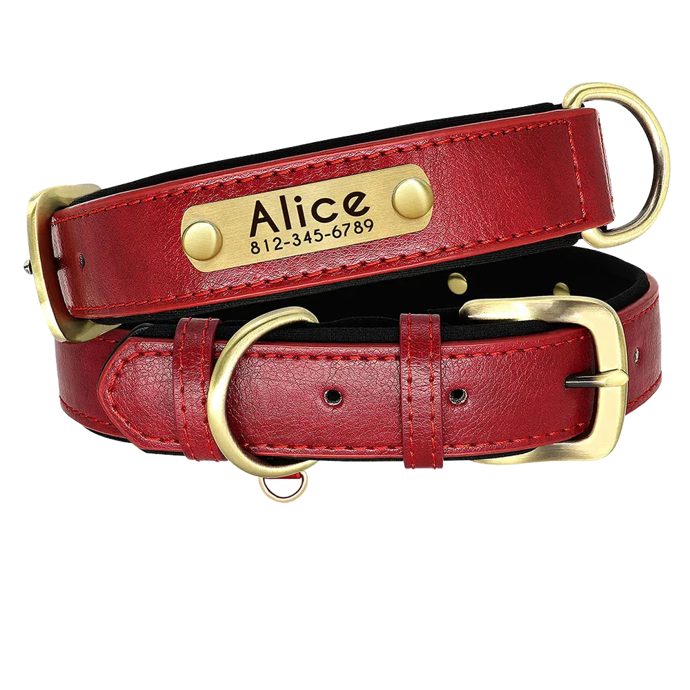 Personalized Dog Collar - PU Leather