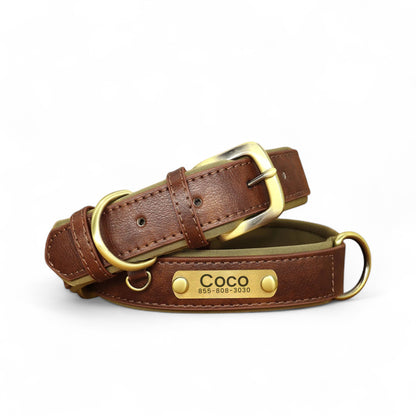 Collar de Perro Personalizado | Collar de Cuero para Perro 