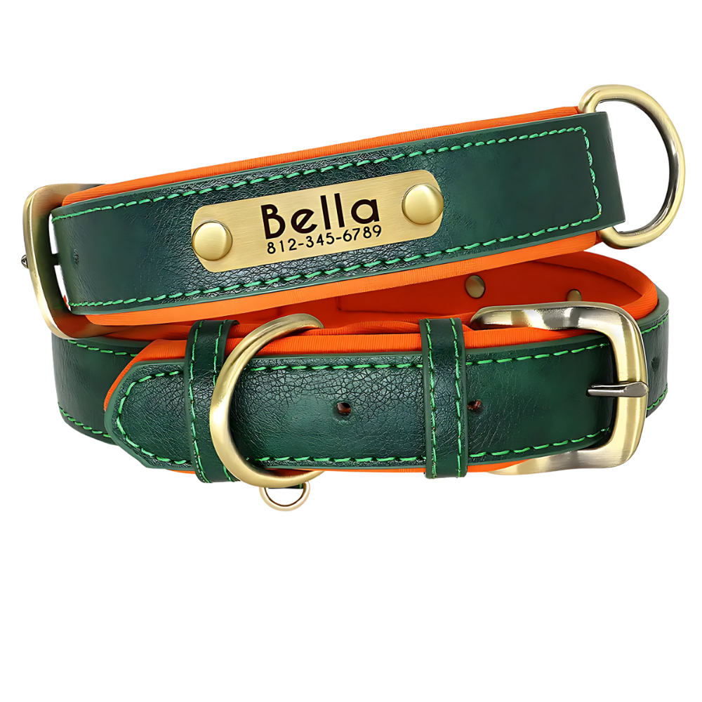 Personalized Dog Collar - PU Leather