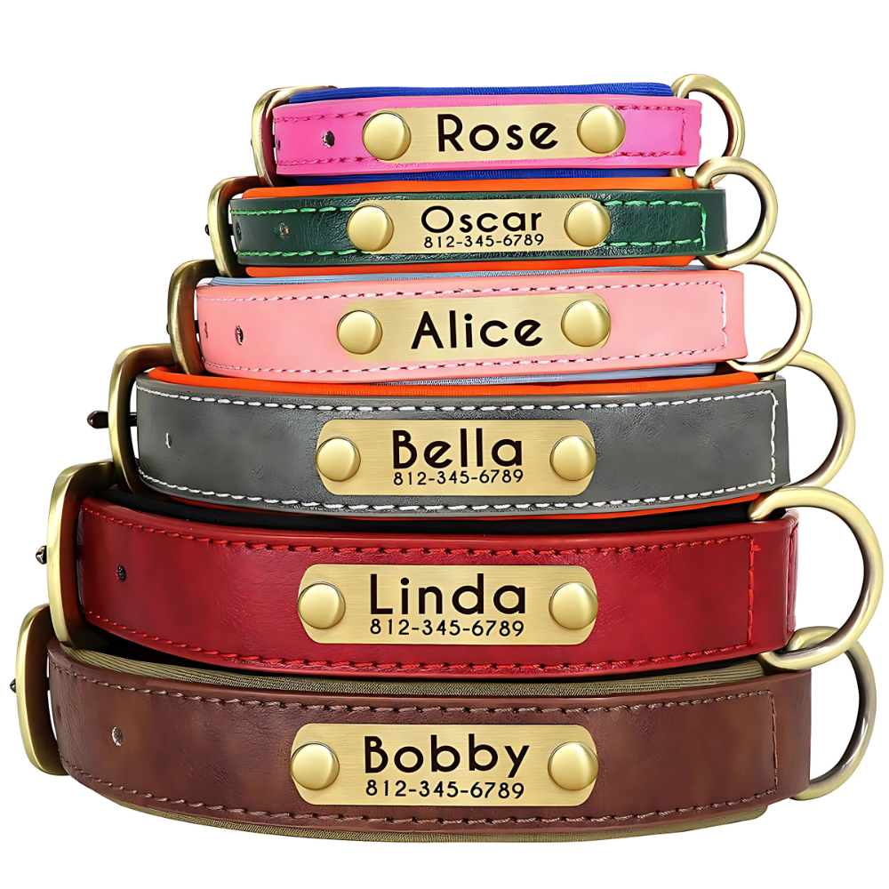 Personalized Dog Collar - PU Leather