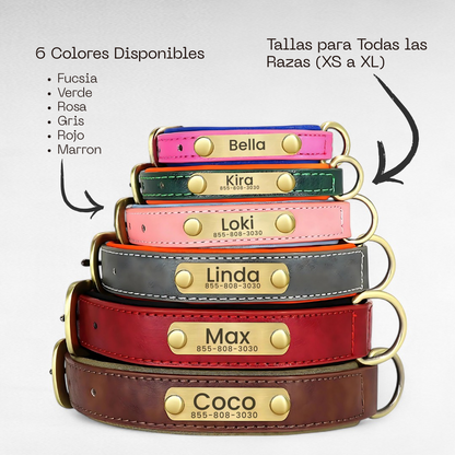 Collar de Perro Personalizado | Collar de Cuero para Perro 
